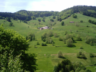 Schwarzwald